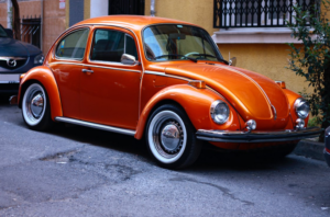 beetle